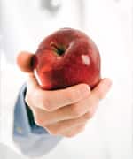 Quercetin Can Restore and Refurbish Mitochondria