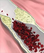 Human Studies On Vitamin K