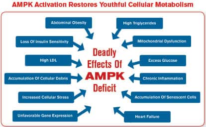 UCLA Biologists Corroborate This Anti-Aging Strategy