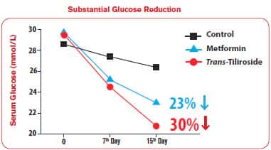 Anti-Aging Benefit Of Metformin Now Available To All