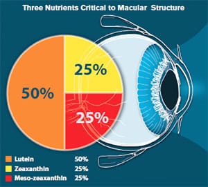 Three Nutrients Critical to Macular Structure