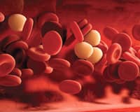 Why Cordiart™ Is Superior