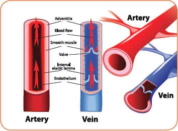 Measuring Increased Nitric Oxide