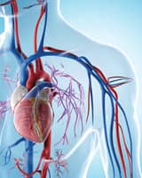 Determining Your Cardiovascular Risk