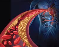 Nitric Oxide Enhancement Restores Erectile Function