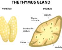 Details From The Groundbreaking Study