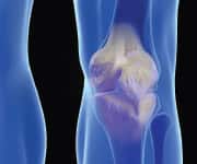 Melatonin Improves Bone Density