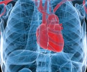 Life Extension®’s Co-Founder Has Editorial Cited In Peer-Reviewed Journal