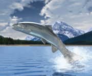 Guarding Against Environmental Pollutants