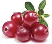 Cranberries