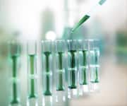 Metabolic Syndrome And Diabetes