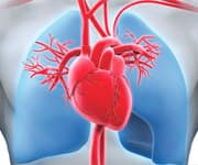 The Heart Depends On Selenium