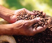 Symposium Highlights Coffee’s Cardiovascular Benefits