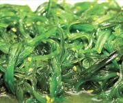 Spirulina Extract