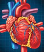 Is Lower Always Better In Terms Of Blood Pressure?