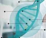 DNA Damage May Be A Marker Of Insufficient Zinc Status