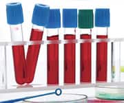 Why The Liver Is So Important