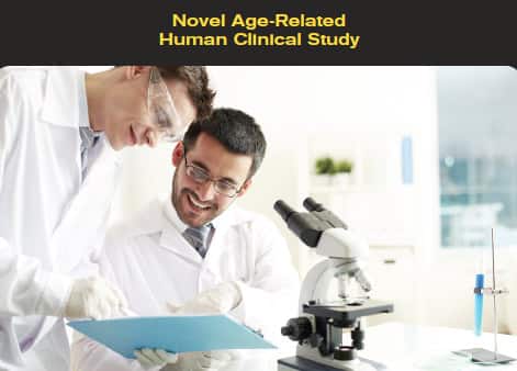 Novel Age-Related Human Clinical Study