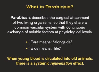 What is Parabiosis?