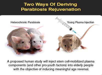 Two Ways Of Deriving Parabiosis Rejuvenation