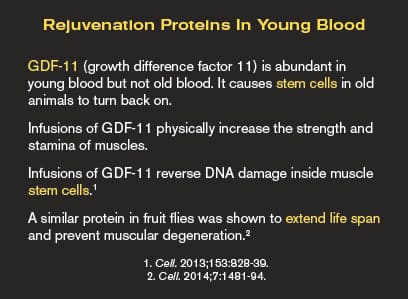 Rejuvenation Proteins In Young Blood