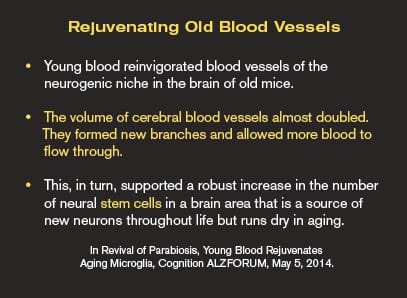 Rejuvenating Old Blood Vessels