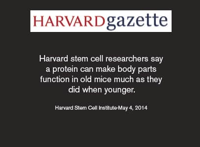 Harvard stem cell researchers