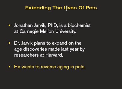 Extending The Lives Of Pets