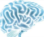 Top Eight Nutrients For Aging Brain