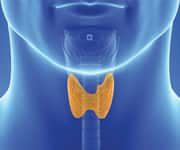 Vitamin D Deficiency Common In Men And Women Undergoing Thyroidectomy