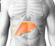 Granulocyte Colony-Stimulating Factor Improves Liver Function In Alcoholic Hepatitis