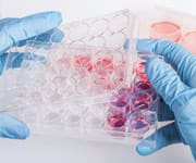 Curcumin May Help Fight Mesothelioma