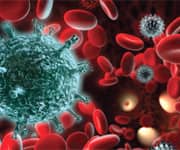 Boost The Immune System To Increase Life Span