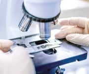 Three New Oral Anticoagulants