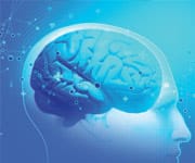 How Vitamin E Deficiency Damages The Brain