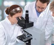 Increased Lycopene Associated With Lower Kidney Cancer Risk