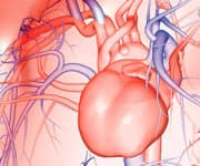 Omega-3 Essential For Brain Development