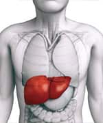 Critical Differences Between Fat-Soluble And Water-Soluble Vitamins