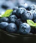 Blueberry Extract