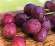 Resveratrol Helps Maintain Memory, Learning In Aged Rats