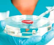 How Men Naturally Make Estrogen