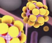 Testing Beyond Cholesterol and LDL