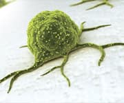 Comprehensive Cancer Chemoprevention