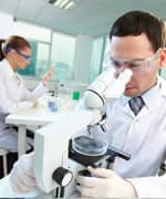 Scientists Replicate Human Brain Cells In Petri Dish