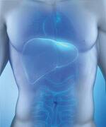 Soap Ingredient Linked To Liver Disease