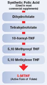 Why Folic Acid Sometimes Fails