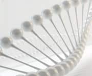 Billionaire Inventor Answers Question: “What Is Life?”