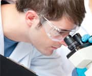 Researchers Hope Sequencing Whale Genome Will Increase Human Life Span