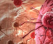 Marinating Meat In Beer Before Barbequing Cuts Cancer Risk