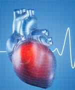 Quercetin Slows Cardiovascular Aging